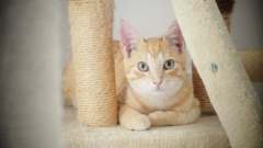 image000000