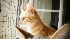 image000001
