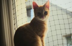 image000003