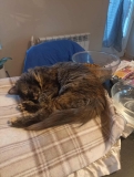 April4