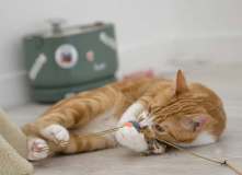 image000000