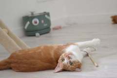 image000001