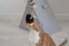 image000002