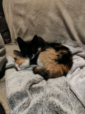 IMG20260917205942