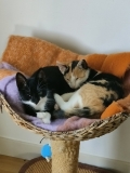 IMG20260919102632