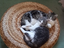 20221227_144831_resized