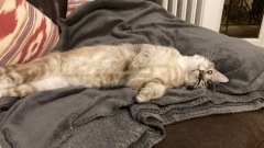 767015E2-2F1E-483D-BE04-9E19D90A08F2