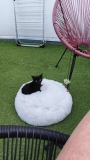 IMG-20260614-WA0004-Copie
