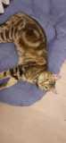 IMG-20201214-WA0013