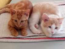 received_3733924053593977