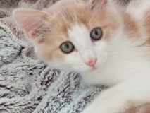 received_775759337687590