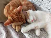 received_996192851615893