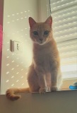 1_Caramel5