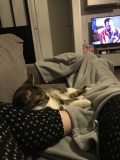 photo_2
