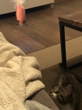 photo_21