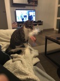 photo_31