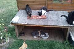 refectoirechaletdesperdrieres