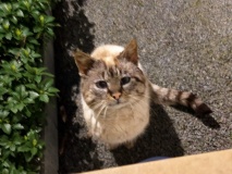 temp_file_1773688023973