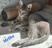 Melba1