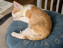 IMG-20250710-WA0000