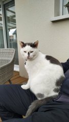 IMG_20210508_183637