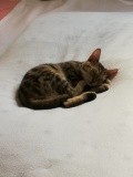 IMG_20240911_120425