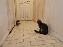 IMG_20200717_123655
