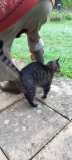 IMG-20221019-WA0010
