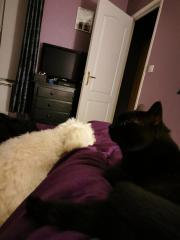 IMG_20220221_212955