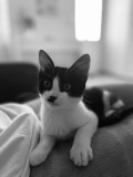 IMG_1783