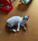 image0