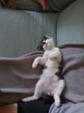 IMG-20230625-WA0000
