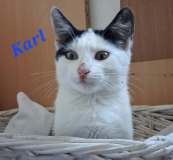 Karl1