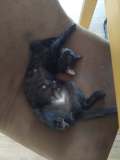 image000000