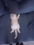 IMG-20220713-WA0003