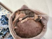 219155342_808529976362094_1702497160788144154_n