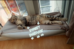 lixy1