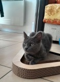 Loupio3