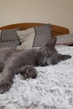 Loupio4