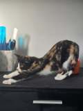 IMG_20251012_083806