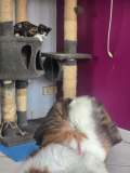 IMG_20251012_083825