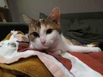 IMG-20231215-WA0001-1