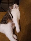 image0000001029