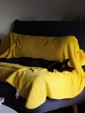 IMG_20200731_092047