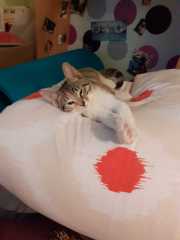 IMG-20220731-WA0000