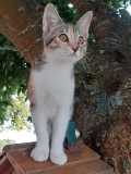 IMG-20220817-WA0002