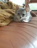 MINI-POUET