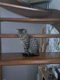 IMG_20251115_201724