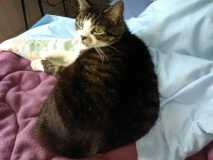 image000000111