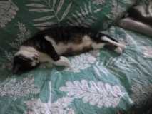image000000112